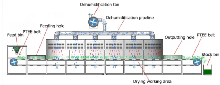 Industrial Microwave Tunnel Dryer For Efficient Herb And Leaf Drying