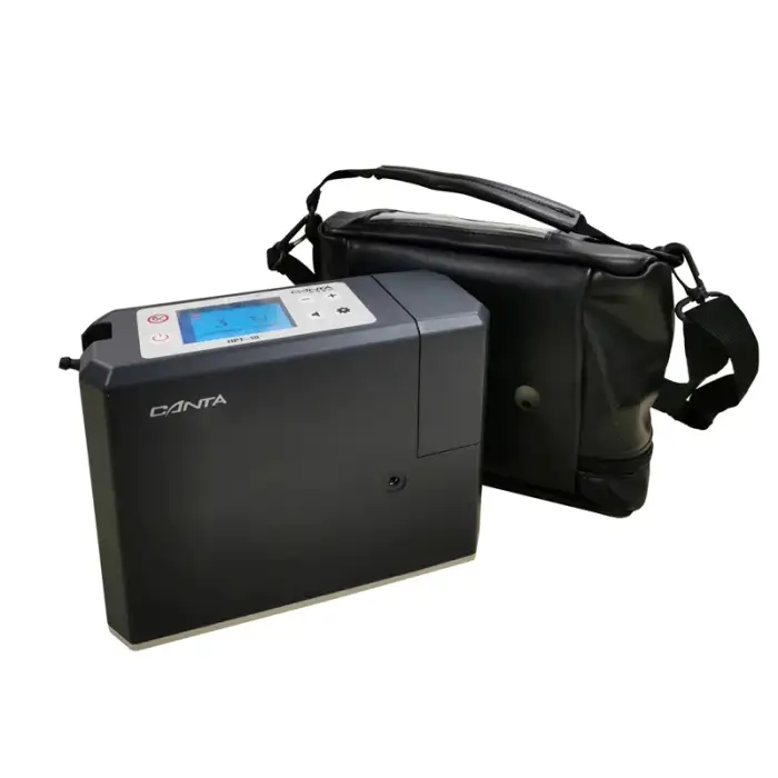 Fast Delivery Mini Portable Medical Oxygen Concentrator With Battery And Shoulder Bag Travel