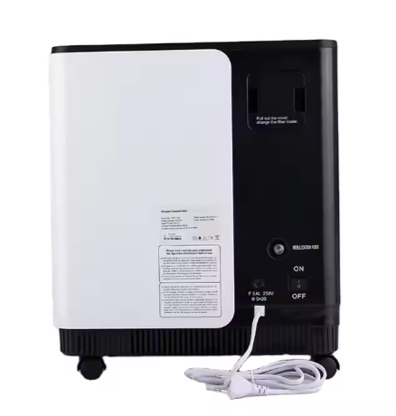 CE Certified Portable 1L Oxygen Concentrator For Travel And Household Use