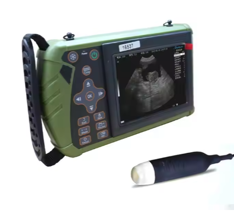 Laptop Portable Wireless Ultrasound Machine Price Convex Linear Micro-Convex Rectal Probe