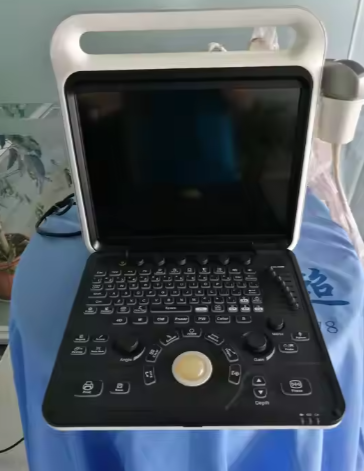 Advanced Imaging Technique With LED Screen Medical Ultrasound 4D Portable Device