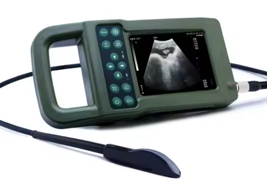 Portable Full Digital Veterinary Ultrasound Scanner Animal Ultrasound Machine With CE Certificate