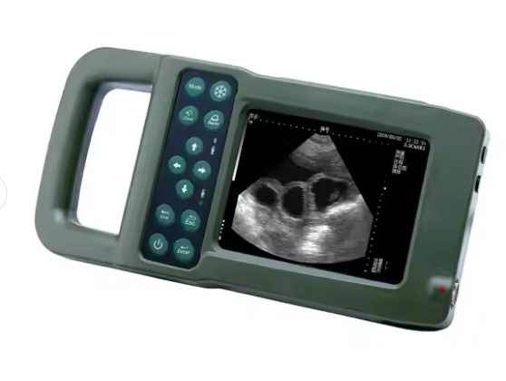 Portable Full Digital Veterinary Ultrasound Scanner Animal Ultrasound Machine With CE Certificate