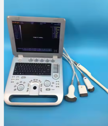 High-End Advanced Laptop Portable 3D Veterinary Ultrasound Scanner Professional For Pets