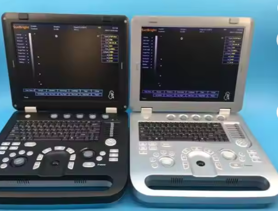 Portable 3D 4D Echo Ultrasound Machine Cost Effective Human Ultrasound