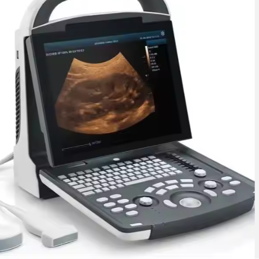 Portable Ultrasound System Scanner Compatible Transducer Convex Linear Probe Printer