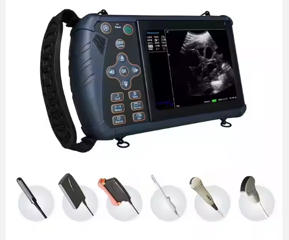 Veterinary Ultrasound Pregnancy Scanner For Animal Portable Digital Imaging Device