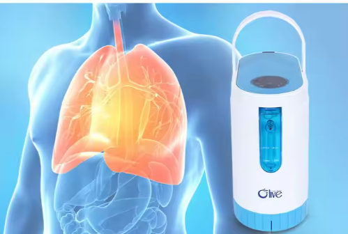 Factory Direct Sales 5L Portable Oxygen Concentrator Rechargeable Nebulizer For Children's Cold