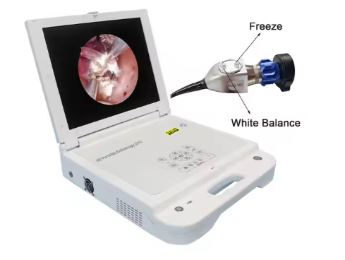 Portable Diagnostic ENT Endoscope Camera With Medical Monitor And LED Light Source