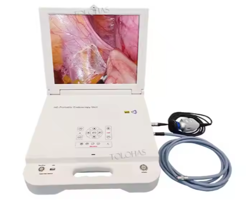 Portable Monitor With LED Light ENT CCD Medical Endoscope Portable Endoscope Camera