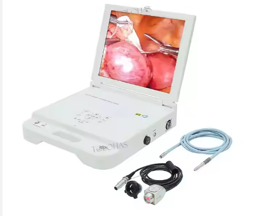 Portable Monitor With LED Light ENT CCD Medical Endoscope Portable Endoscope Camera