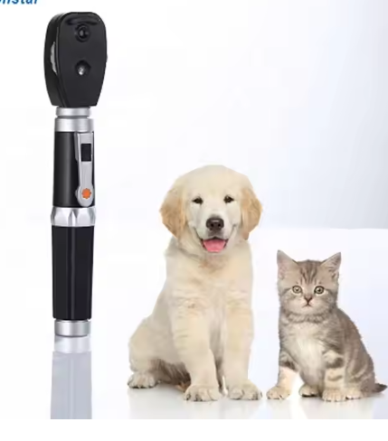 Portable Clinic Professional ENT Diagnostic Set Ophthalmoscope Otoscope For Veterinary