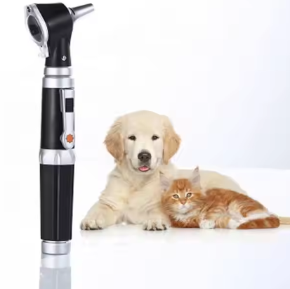 Portable Clinic Professional ENT Diagnostic Set Ophthalmoscope Otoscope For Veterinary