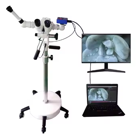 Ginecologico LED Colposcopy Gynecology Machine Colposcope Pricing Options Available