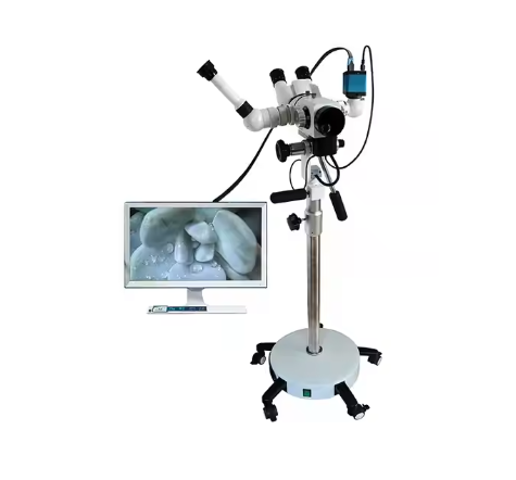 Ginecologico LED Colposcopy Gynecology Machine Colposcope Pricing Options Available