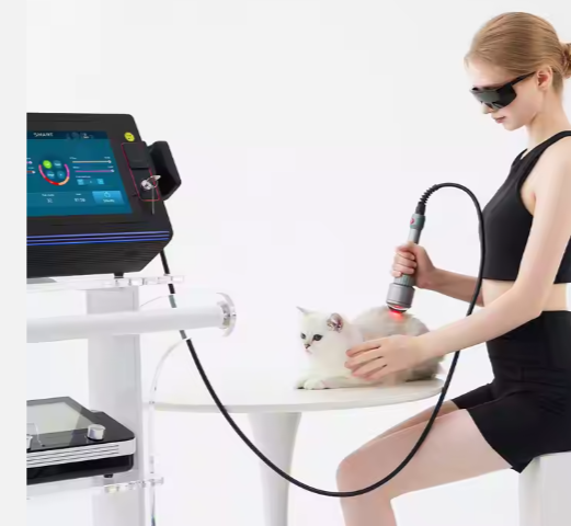 Multi Wavelengths Class 4 High Intensity Laser Physical Therapy Machine For Pain Reduction