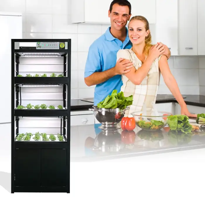 Hot Selling New Greenhouse Vertical Hydroponic System Smart Home Automation for Sale