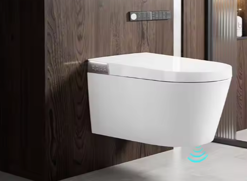 Arrow Ceramic Toilet Sanitary Luxury Toilet Modern Washdown One Piece Wall-Hung Smart Toilet