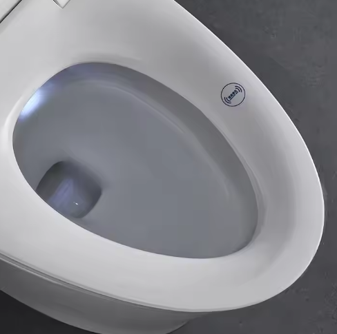 Arrow Modern Auto Open Electronic Toilet Concealed Tank One Piece Intelligent Bidet