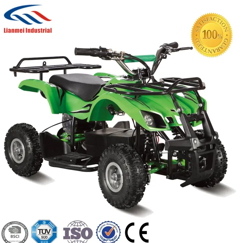 Electric Mini ATV Quad Bike Kids With CE 36V 500W