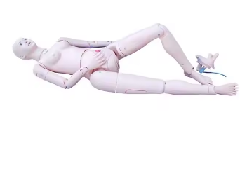 IN-401 Adult Full Body Nursing Care Manikin Training Medical Doll