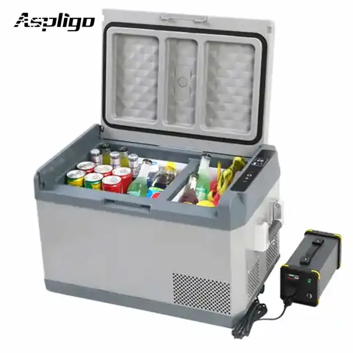 Factory direct sale mini car fridge freezer with European compressor portable fridge freezer car refrigerator mini cooler