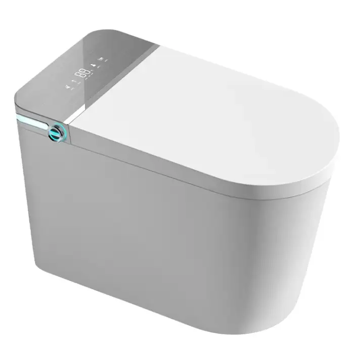 Digital Display Smart Toilet Freestanding Tankless Smart Wc Automatic Flush Smart Toilet Bidet