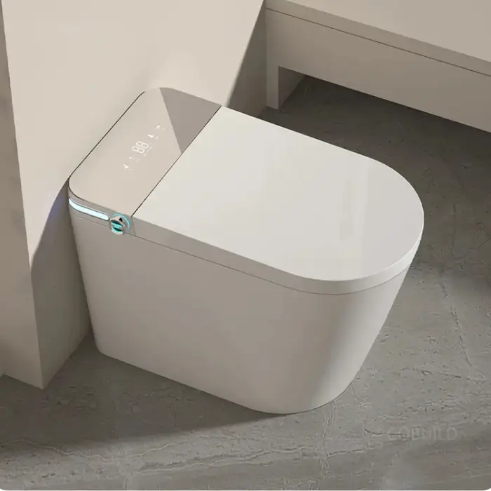 Digital Display Smart Toilet Freestanding Tankless Smart Wc Automatic Flush Smart Toilet Bidet