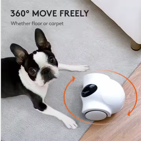 Dog Food Dispenser Smart Pet Feeder With 1080P HD Pet Camera For Dogs Cats