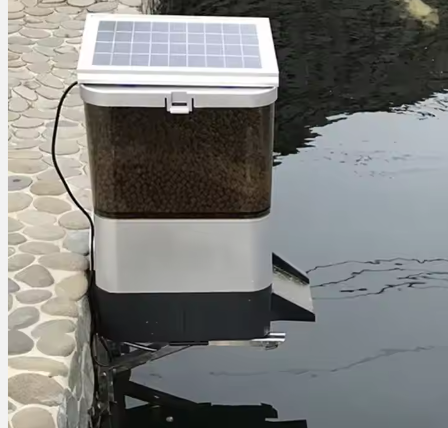 Solar Automatic Pond Feeder Large Capacity Koi Fish Automatic Feeder System