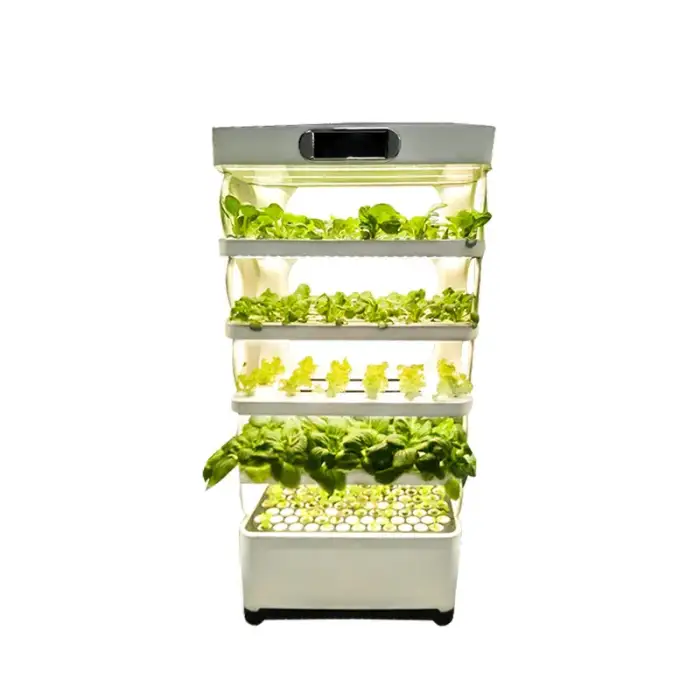 Indoor Smart Garden Hydroponic Intelligent Vertical Farming Home Hydroponic Growing Systems