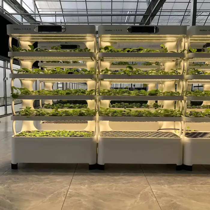 Indoor Smart Garden Hydroponic Intelligent Vertical Farming Home Hydroponic Growing Systems