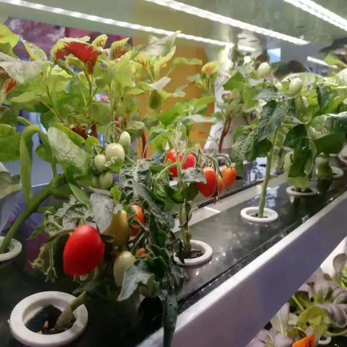 Indoor Smart Garden Hydroponic Intelligent Vertical Farming Home Hydroponic Growing Systems