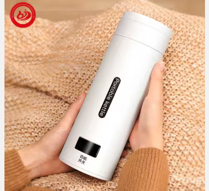 Portable 500ML Electric Kettle Portable Heating Thermal Mug Water Tea Boiler Camping Car Designed Teapot Heating Cup Box Kitchen