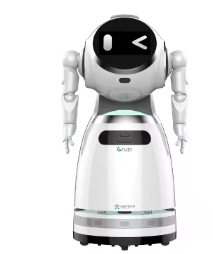 Durable Using Plastic Material Service Ai Assistant Robot Automatic