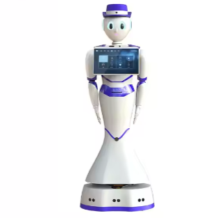 Intelligent Conversation Robot Artificial Intelligence Software Assistant Video Chat AI Interactive Chatting Robots