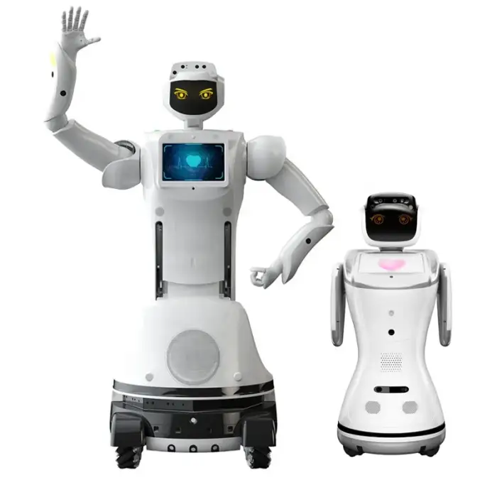 Compatible With ChatGPT Open API Programmable Robot Humanoid Kit Open SDK Business Services Robot Humanoid