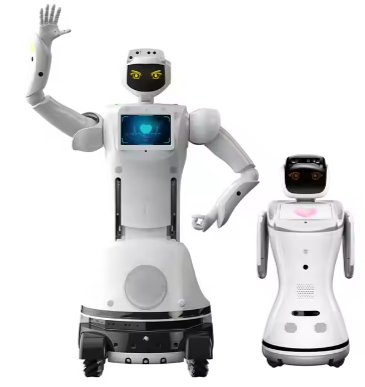 Compatible With ChatGPT Open API Programmable Robot Humanoid Kit Open SDK Business Services Robot Humanoid