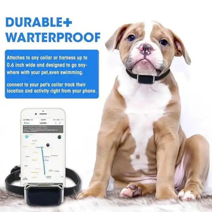 Dog GPS Smart Waterproof Electronic Pet Locator Tracking Pets GPS Location Cat Collar Tracker Pet Manufacturer Track Dog Collar