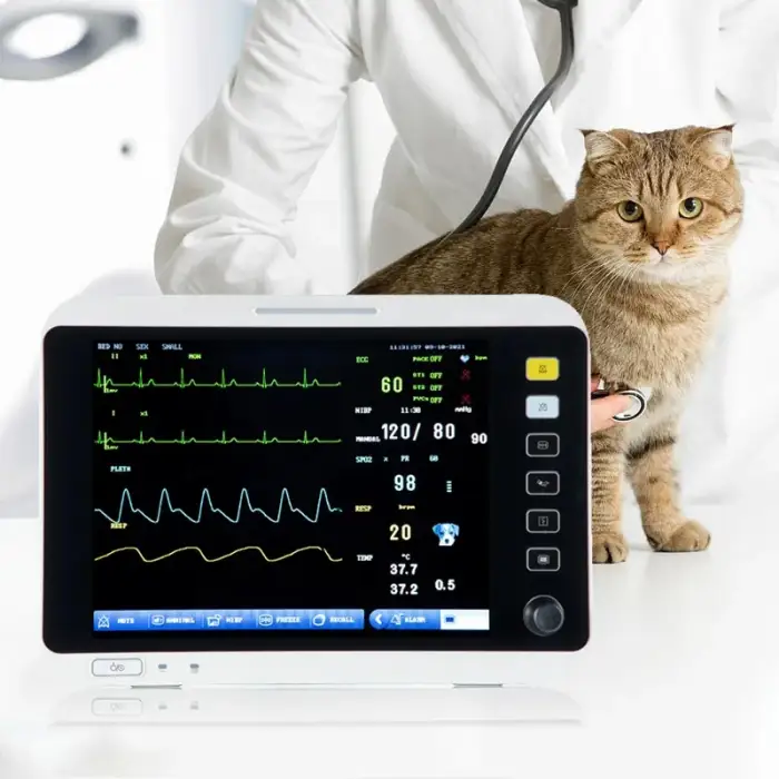 12.1 Inches Portable Pet Veterinary Equipment ECG Vital Signs Multiparameter Monitor Veterinarios ETCO2 Vet Veterinary Monitor