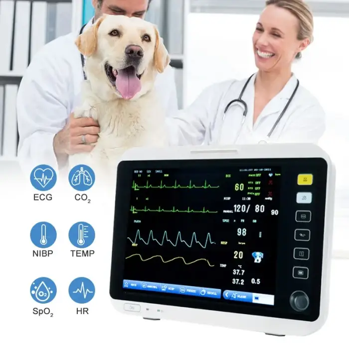 12.1 Inches Portable Pet Veterinary Equipment ECG Vital Signs Multiparameter Monitor Veterinarios ETCO2 Vet Veterinary Monitor