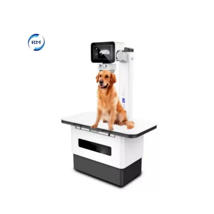 Smart Vet Veterinary Clinic Equipment Medical OEM ODM Factory MRI Digital Scan Imaging System