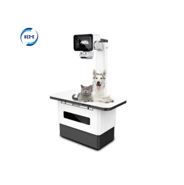 Smart Vet Veterinary Clinic Equipment Medical OEM ODM Factory MRI Digital Scan Imaging System