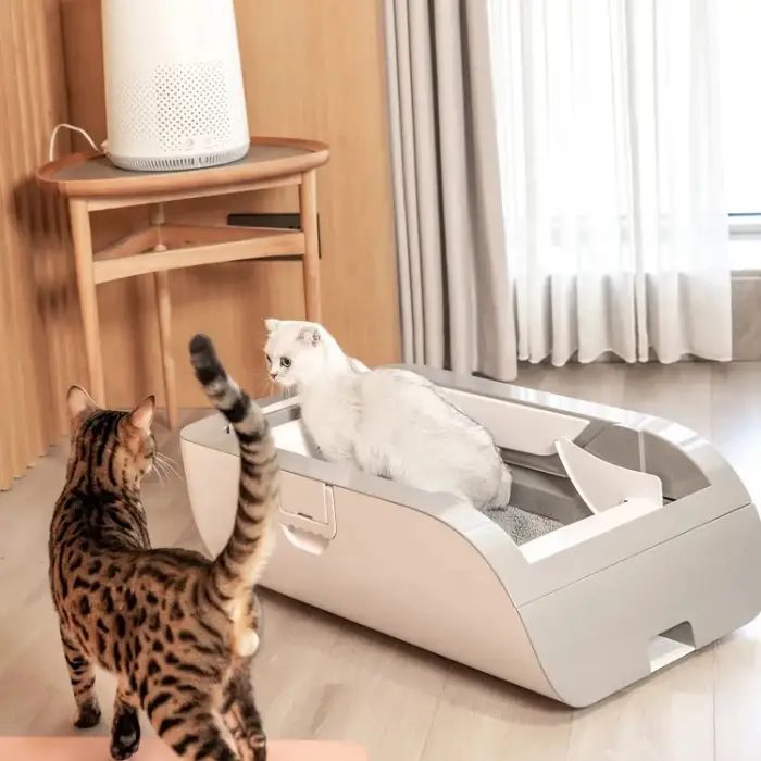 Gray Multi Functional Cat Self Cleaning Automatic Cat Litter Box for Cats