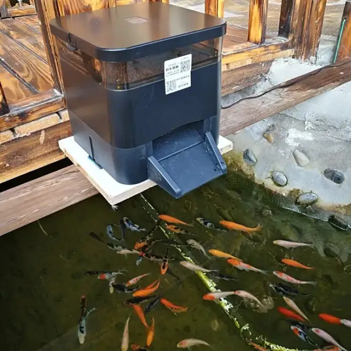 Auto Fish Dispenser Feed Pellet Shrimp Turtle and Other Fish Feeder Machine Wifi Smart Automatic Fish Farm Feeder