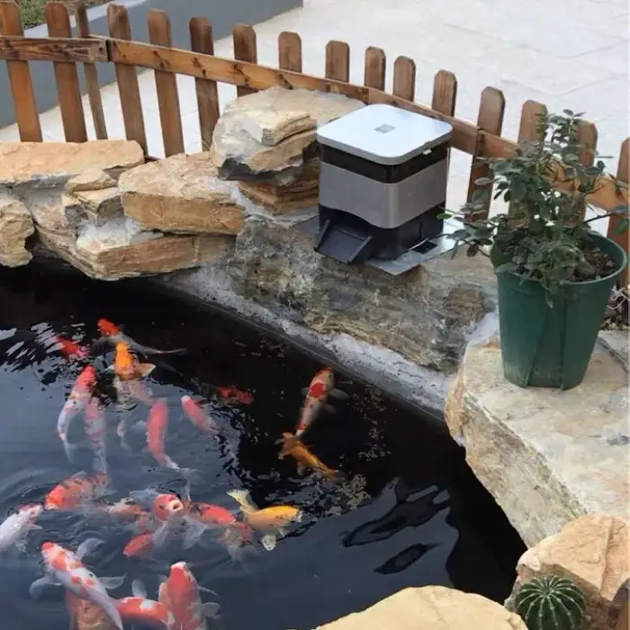 Auto Fish Dispenser Feed Pellet Shrimp Turtle and Other Fish Feeder Machine Wifi Smart Automatic Fish Farm Feeder