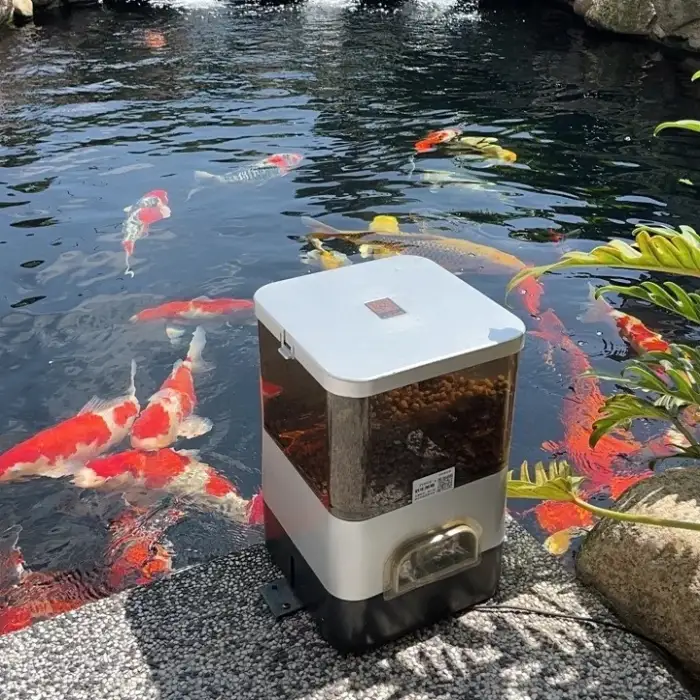 Auto Fish Dispenser Feed Pellet Shrimp Turtle and Other Fish Feeder Machine Wifi Smart Automatic Fish Farm Feeder