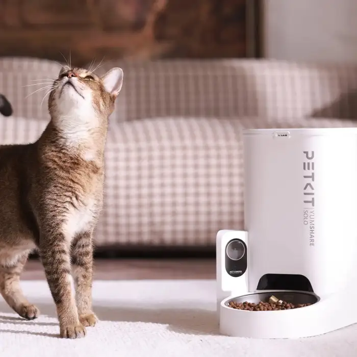 Authorized Genuine Solo with Camera Pet Smart Feeder WIFI APP Control Automatic Pet Feeder