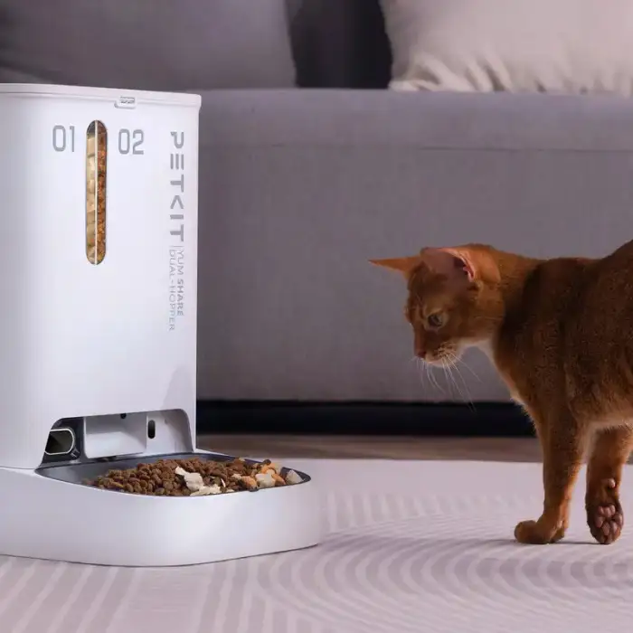 Authorized Genuine Solo with Camera Pet Smart Feeder WIFI APP Control Automatic Pet Feeder