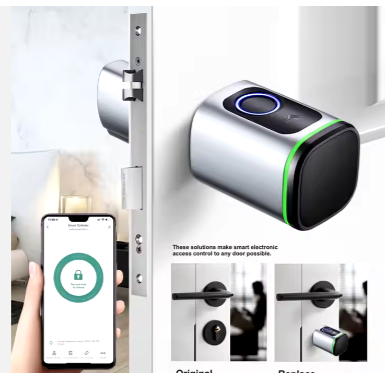 Europe Standard TTLock Tuya Ble Biometric Fingerprint Door Lock Electric Cylinder Smart Locks